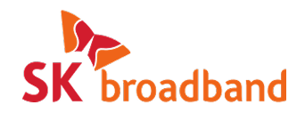 SK broadband